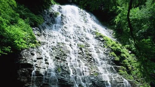 高标准稳定性智慧